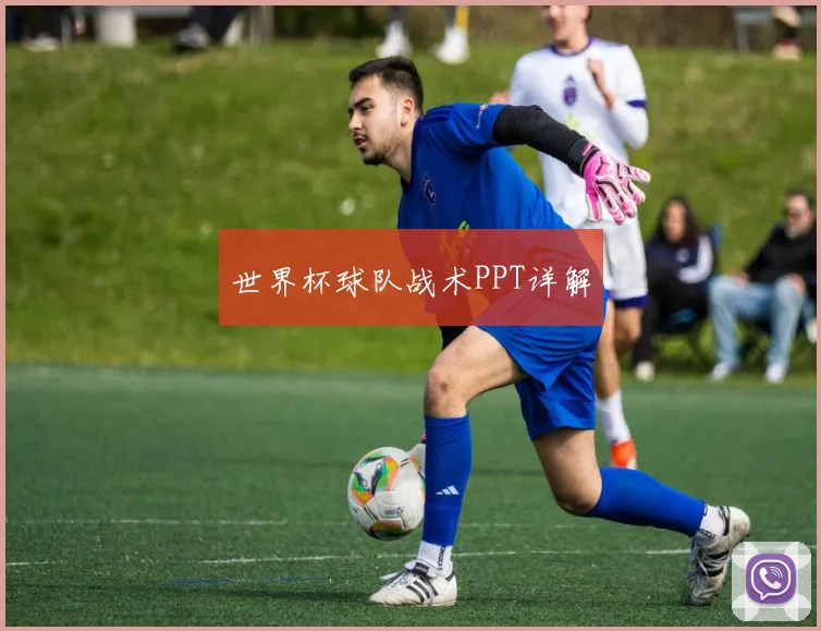 世界杯球队战术PPT详解