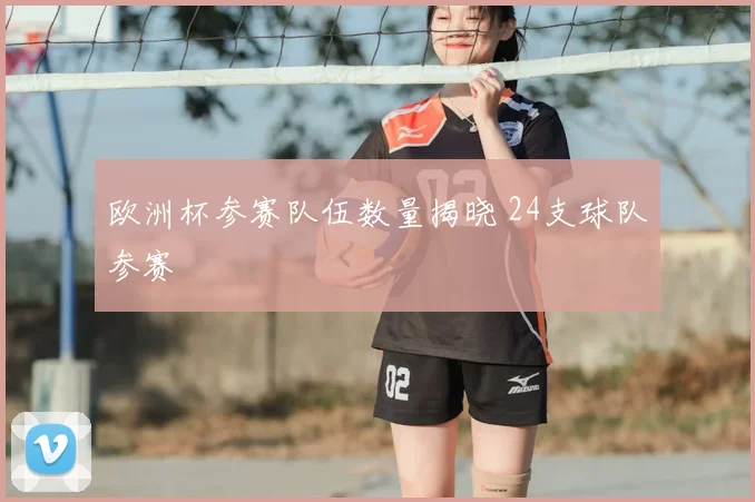 欧洲杯参赛队伍数量揭晓 24支球队参赛