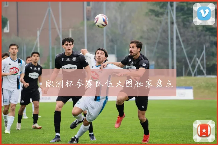 欧洲杯参赛队伍大图独家盘点