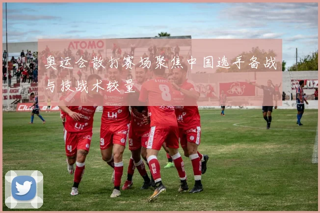 奥运会散打赛场聚焦中国选手备战与技战术较量