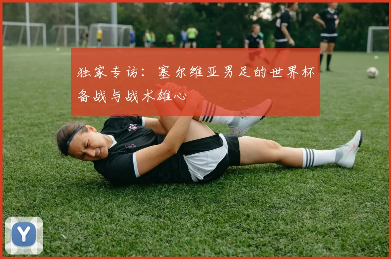 独家专访：塞尔维亚男足的世界杯备战与战术雄心