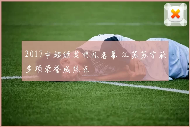 2017中超颁奖典礼落幕 江苏苏宁获多项荣誉成焦点