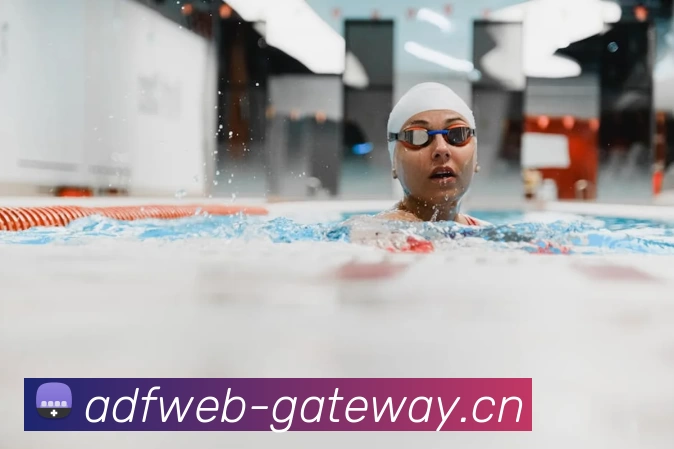 多媒体互动体验